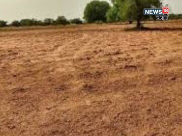 Agriculture News 