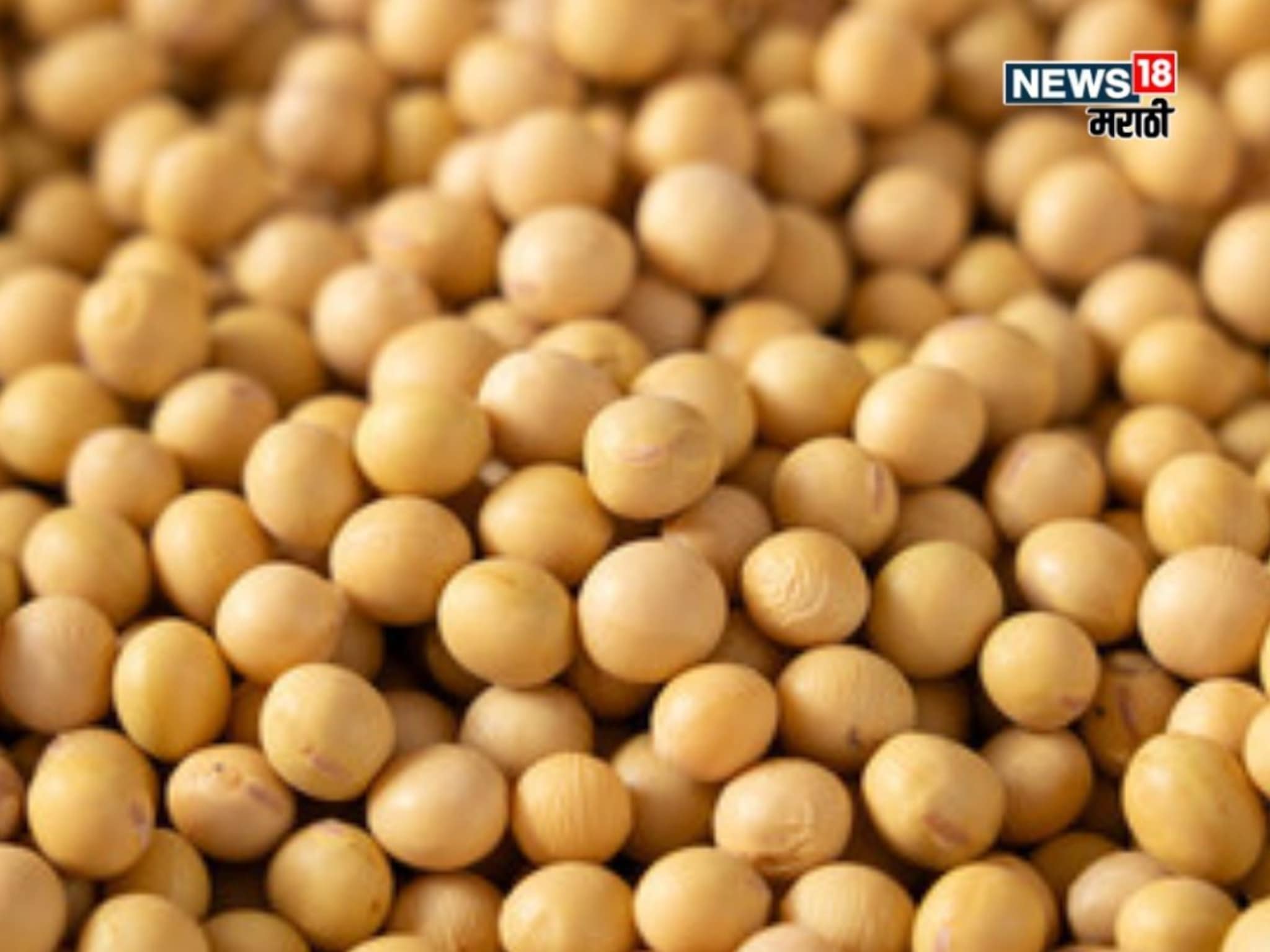 नवीन सोयाबीनला किती मिळतोय बाजारभाव? मार्केटमधून नवीन अपडेट आली समोर