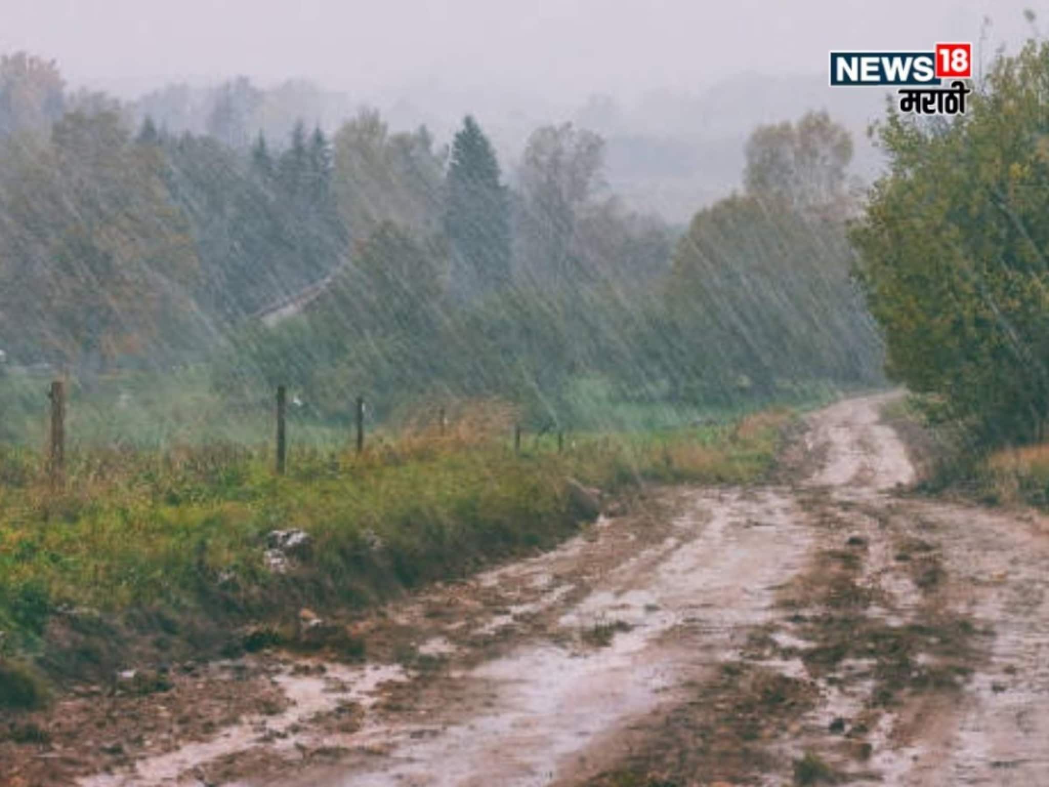 कृषी हवामान : शेतकऱ्यांवर आज पुन्हा पावसाचं संकट, २१ जिल्ह्यांना अलर्ट, पीक काढणी करतांना काय काळजी घ्यावी?