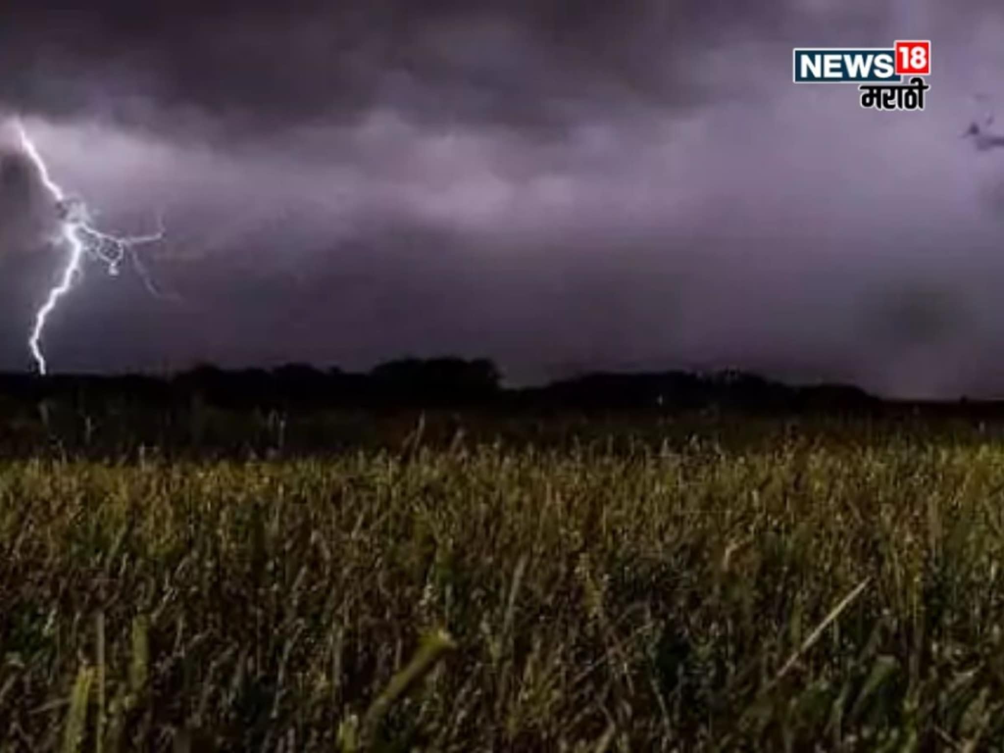 कृषी हवामान : शेतकऱ्यांवर पावसाचं संकट! १० जिल्ह्यांना अलर्ट, कृषी सल्ला काय?