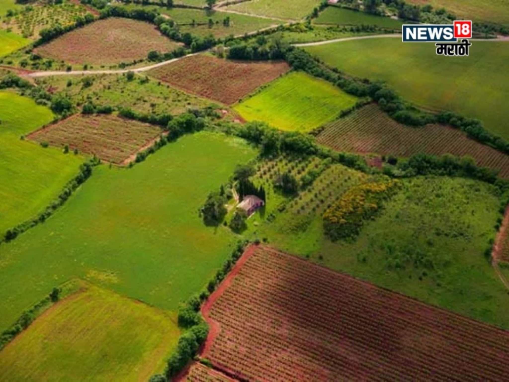 जमीन नोंदणीच्या नियमांत मोठे बदल! रजिस्ट्री करताना कोणती काळजी घ्यावी लागणार?