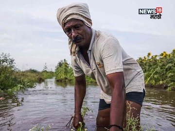 agriculture news