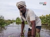 शेतकऱ्यांसाठी मोठ्या पॅकेजची घोषणा होणार? मंत्रिमंडळ बैठकीपूर्वी महत्वाची अपडेट