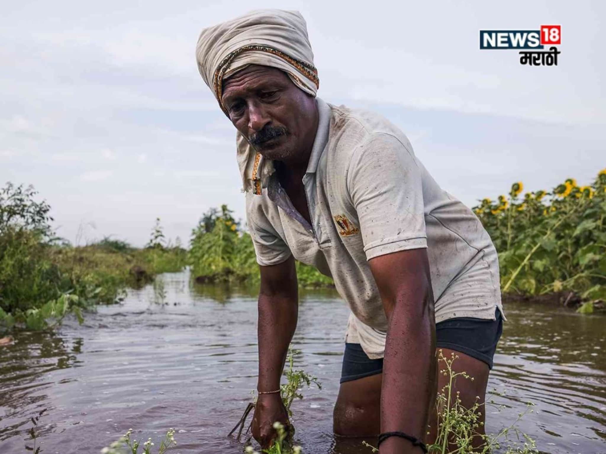 पूरग्रस्त शेतकऱ्यांसाठी मोठ्या पॅकेजची घोषणा होणार? मंत्रिमंडळ बैठकीपूर्वी महत्वाची अपडेट