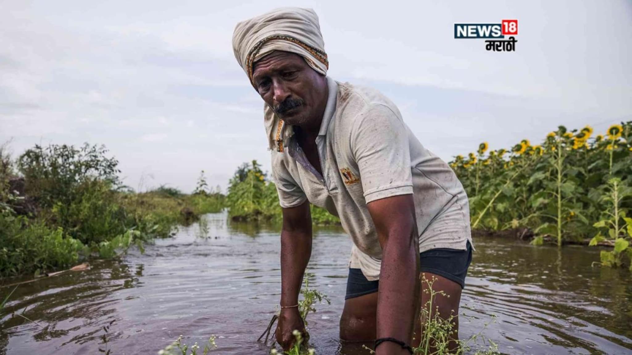 Maharashtra Cabinet Meeting : दिवाळी आधी सरकारकडून शेतकऱ्यांना कोट्यवधींची मदत! कोणाला किती पैसे मिळणार?