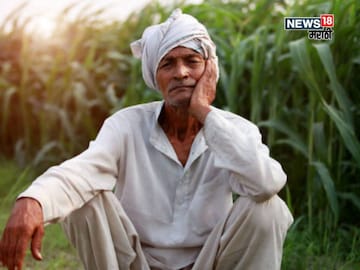 Agriculture News 