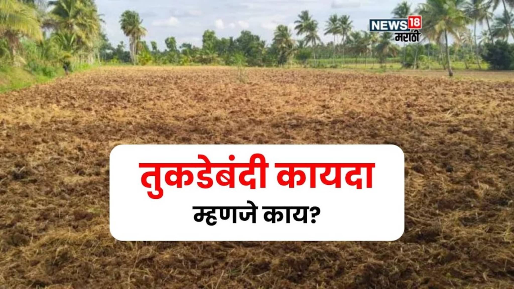 तुकडेबंदी म्हणजे काय? सरकारकडून कायदा रद्द, नवीन निकष काय असणार?