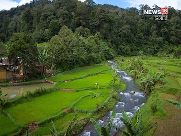agriculture news 