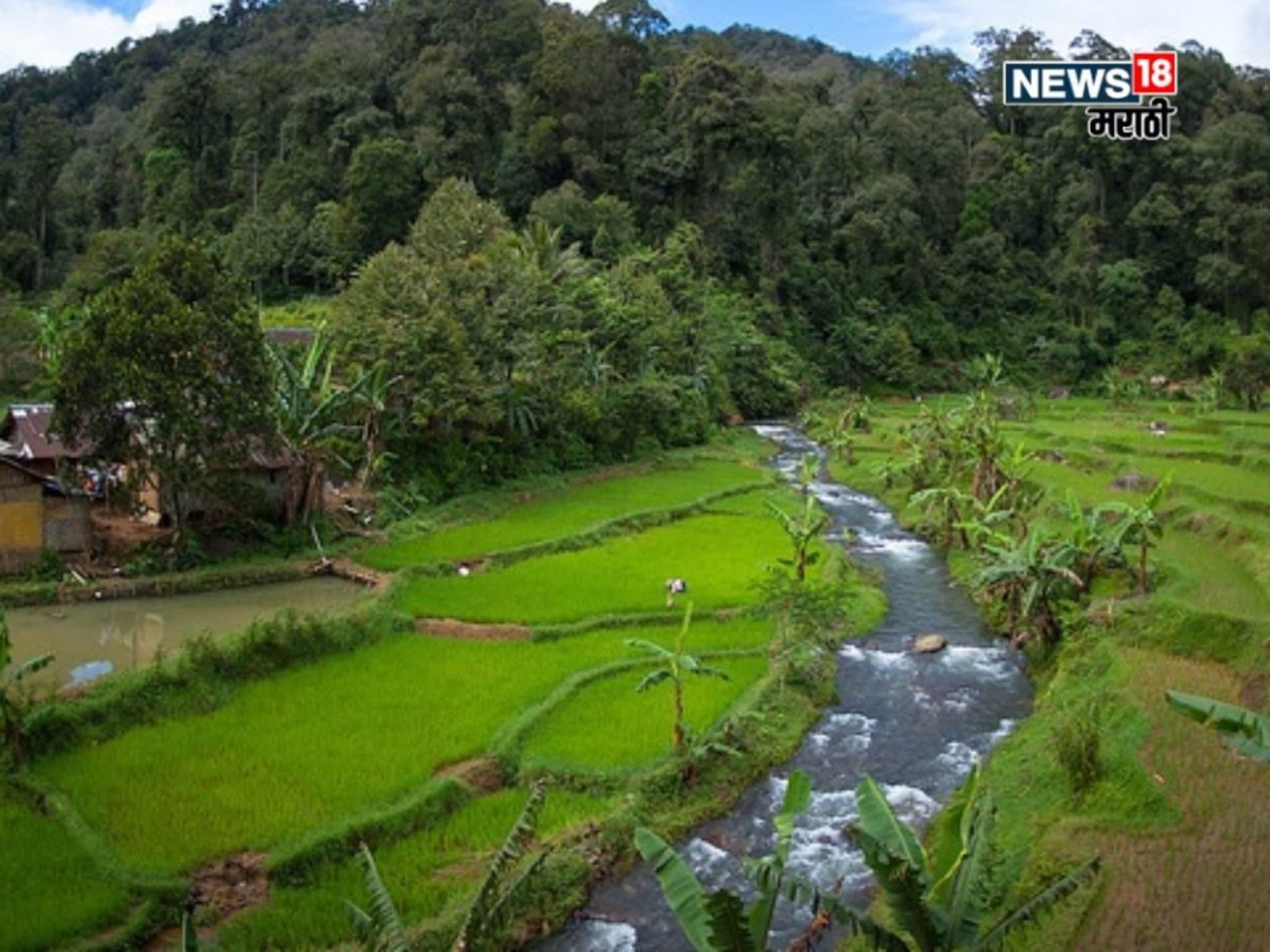 तुमच्या शेजारी वनविभागाची जमीन आहे का? ती शेतीसाठी वापरता येते का? नियम अटी काय?