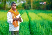 पीएम धनधान्य कृषी योजनेसाठी महाराष्ट्रातील ९ जिल्ह्यांची निवड, किती निधी मिळणार?  यादी आली समोर