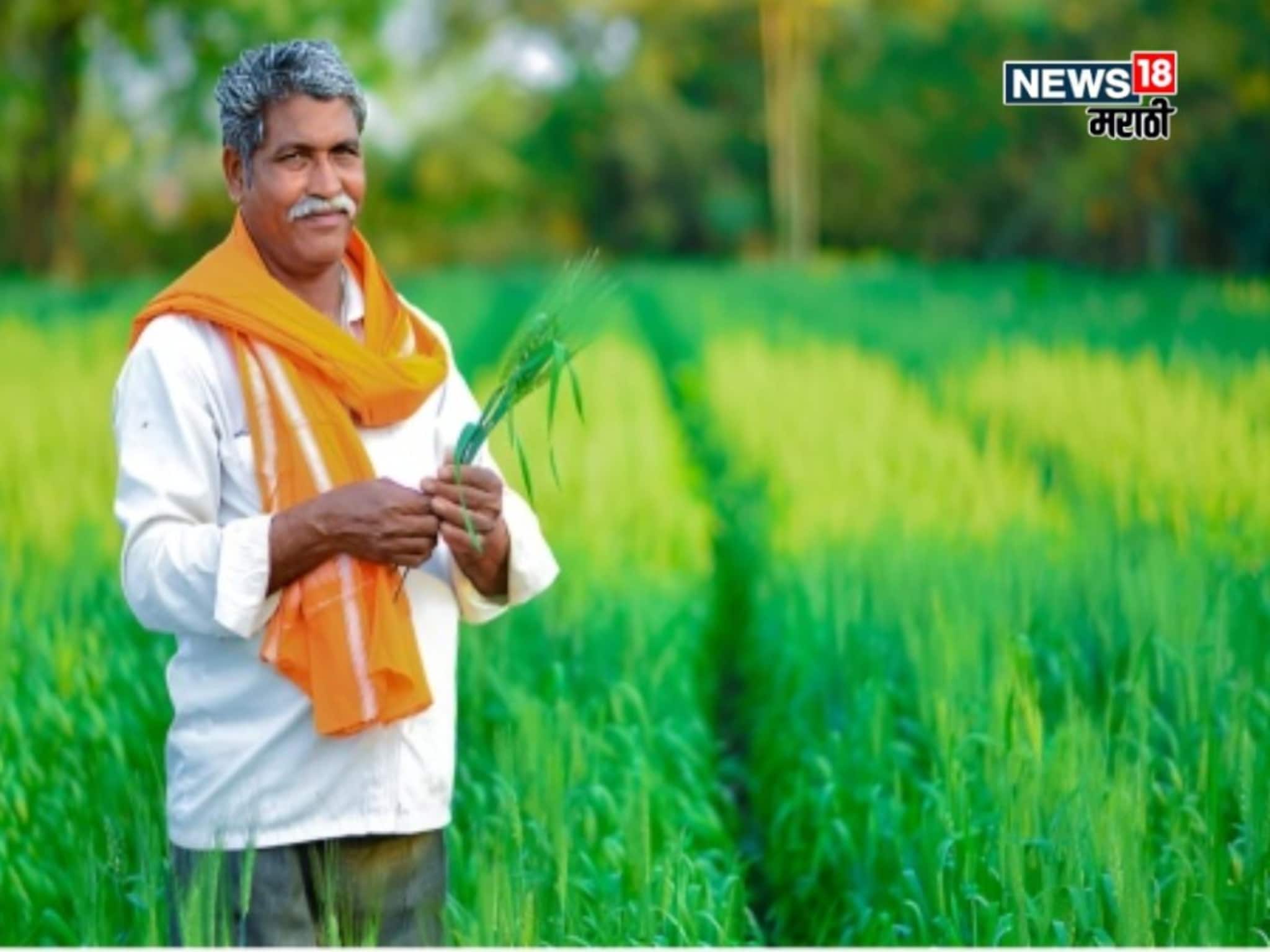 पीएम धनधान्य कृषी योजनेसाठी महाराष्ट्रातील ९ जिल्ह्यांची निवड, किती निधी मिळणार?  यादी आली समोर