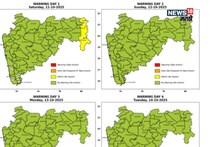 कृषी हवामान : शेतकऱ्यांना आधी पावसानं झोडपलं आता पुन्हा नवीन संकट, उन्हाचा तडाखा वाढला, पिकांसाठी उपाययोजना काय?