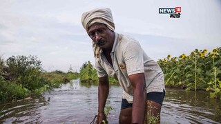 Maharashtra Weather Update 