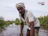 पूरग्रस्त शेतकऱ्यांना आर्थिक मदत मिळण्याचा मार्ग मोकळा! सरकारने ही अट केली रद्द