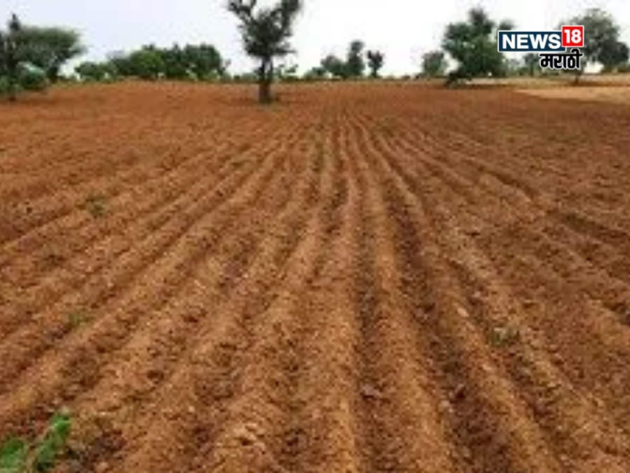 दिवाळीच्या मुहूर्तावर जमीन खरेदी-विक्रीचा प्लॅन आहे का? नियमांत मोठे बदल, वाचा सविस्तर