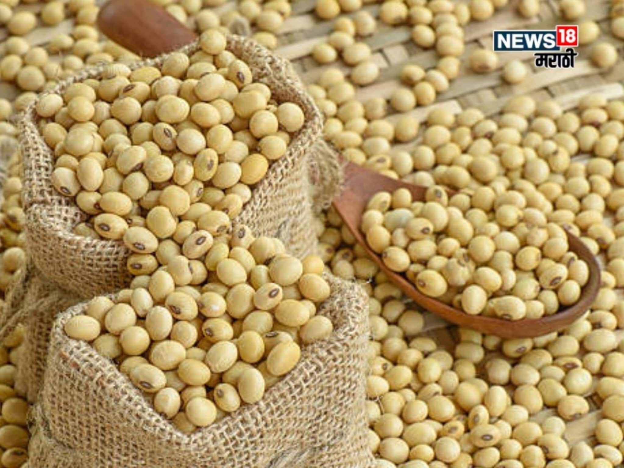 पिवळ्या सोयाबीनला किती मिळतोय दर? बाजारभाव वाढणार का? वाचा मार्केट अपडेट