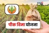 फळपीक विमा मिळवण्यासाठी  शेतकऱ्यांना हे कागदपत्रे असणार बंधनकारक