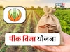 फळपीक विमा मिळवण्यासाठी  शेतकऱ्यांना हे कागदपत्रे असणार बंधनकारक