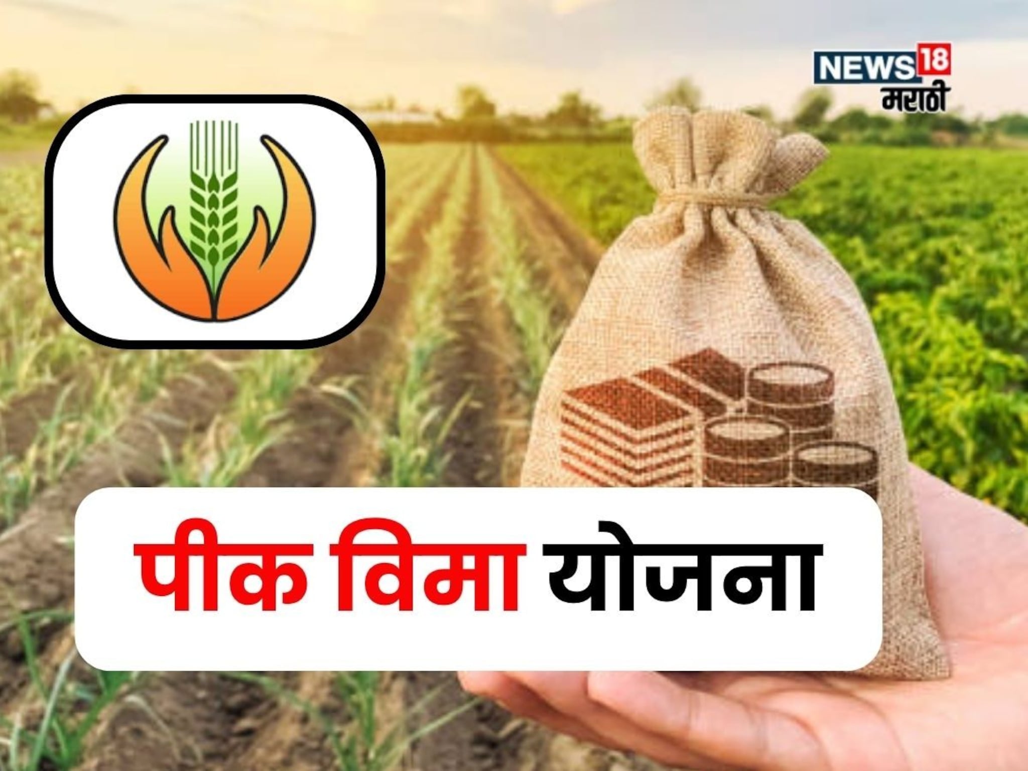 कृषी विभागाचा मोठा निर्णय! फळपीक विम्यासाठी शेतकऱ्यांना Farmer ID असणार बंधनकारक