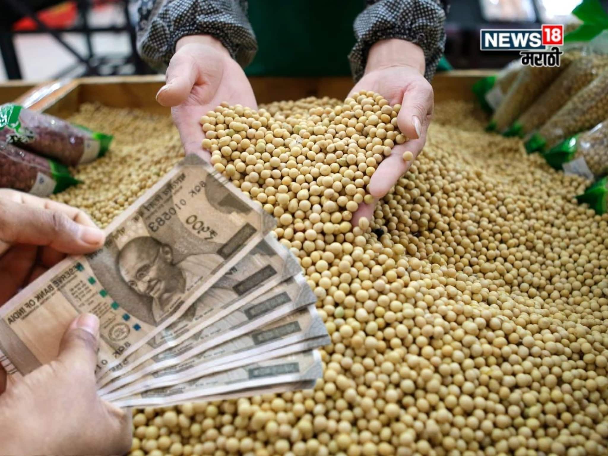 यंदा सोयाबीनला अच्छे दिन येणार? पावसानं मोठं नुकसान, सोपाकडून अहवाल प्रसिद्ध