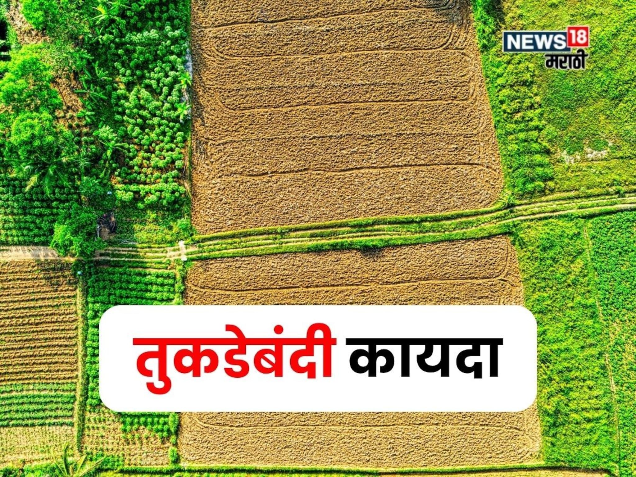 तुकडेबंदीची अट रद्द! आता कायद्यातही सुधारणा करावी लागणार का?