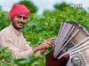 PM Kisan चा २१ वा हप्ता दिवाळीआधी येणार की नंतर? समोर आली महत्वाची अपडेट