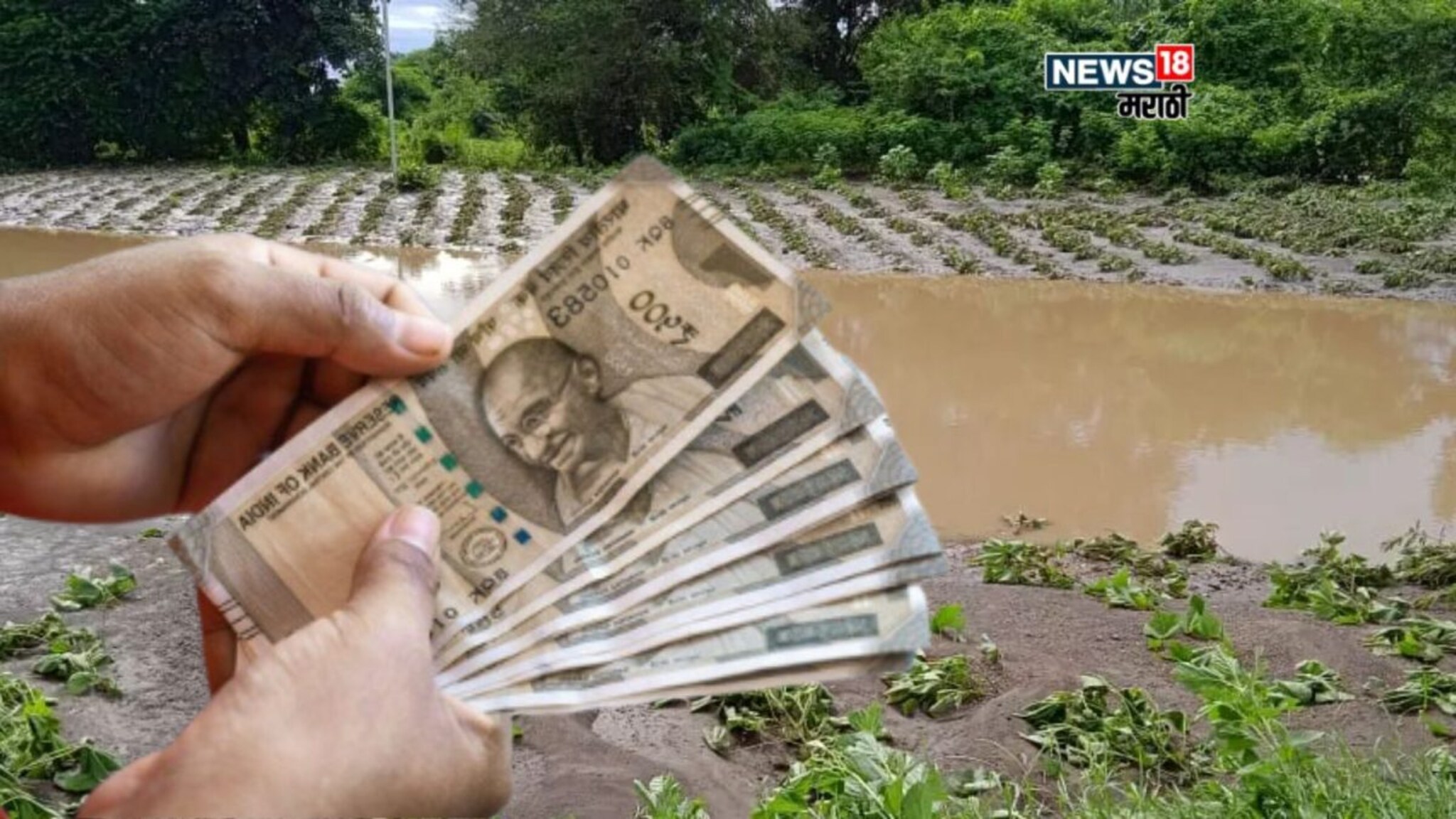 मोठा दिलासा! या जिल्ह्यातील ४.२७ लाख शेतकऱ्यांना मिळणार नुकसान भरपाई