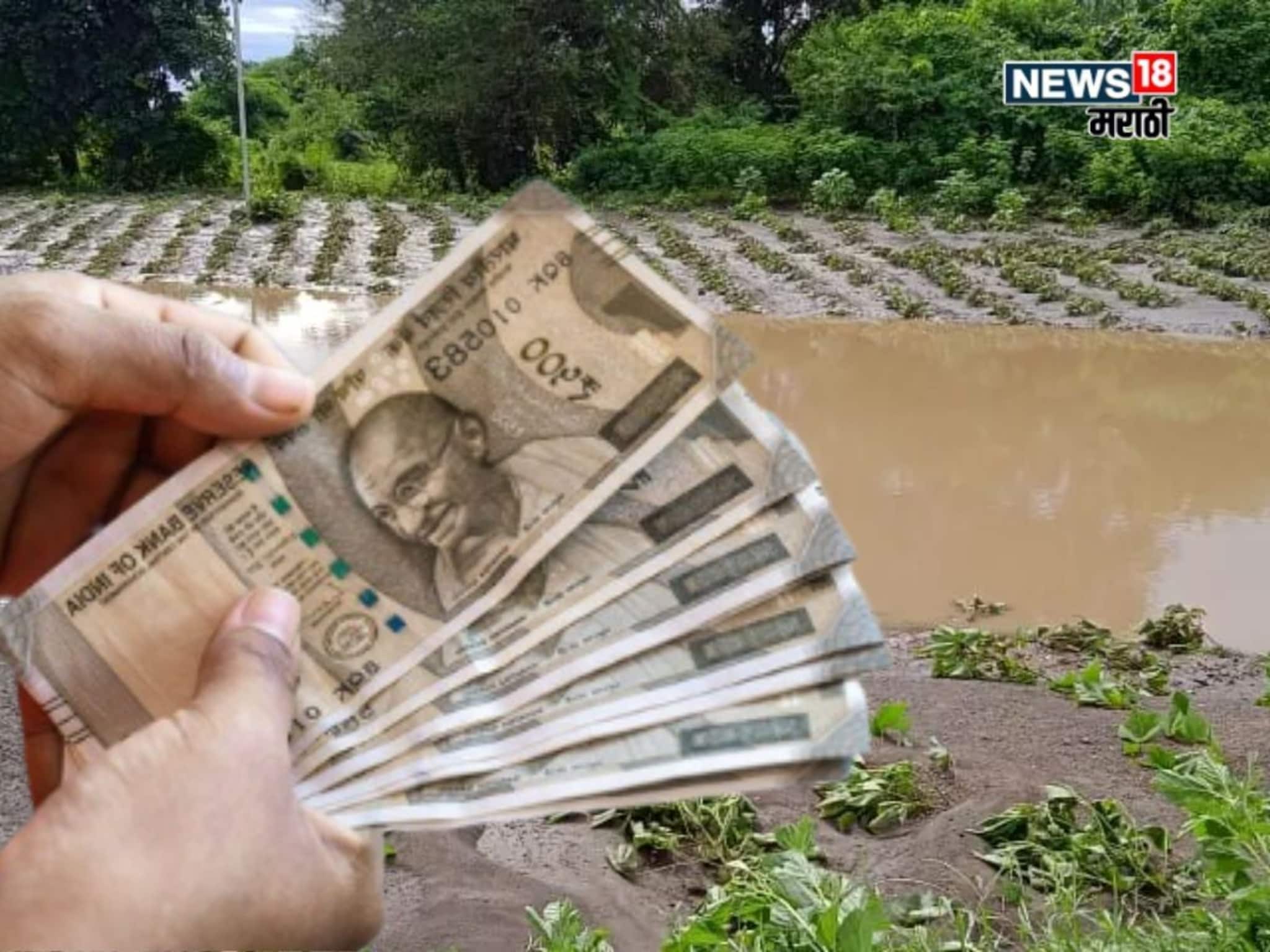 मोठा दिलासा! या जिल्ह्यातील ४.२७ लाख शेतकऱ्यांना मिळणार नुकसान भरपाई