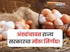 अंड्यांबाबत राज्य सरकारचा मोठा निर्णय!२१ हजारांचे युनिट मोफत मिळणार,पात्रता काय?