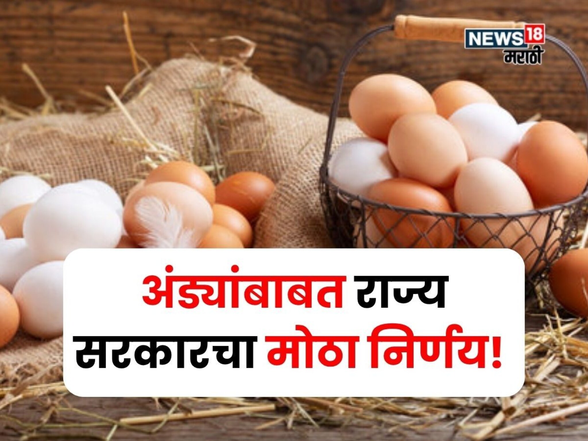 अंड्यांचे उत्पादन वाढवण्याबाबत राज्य सरकारचा मोठा निर्णय! २१ हजारांचे युनिट मोफत मिळणार, पात्रता काय?