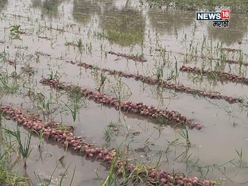agriculture news 