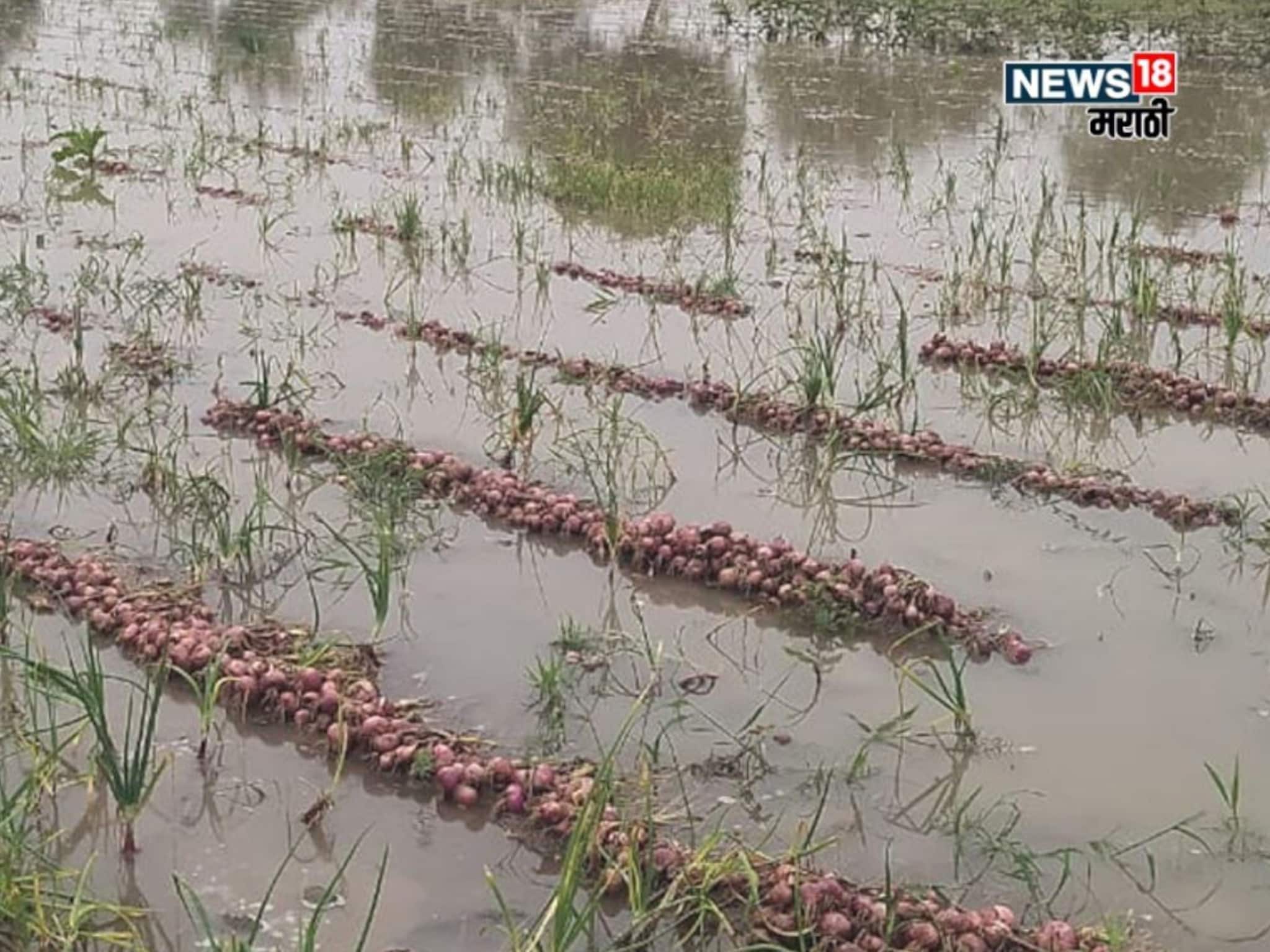 अतिवृष्टीमुळे खरडून गेलेल्या जमीनधारक शेतकऱ्यांना धक्का! या अटींमुळे आर्थिक मदतीपासून राहणार वंचित