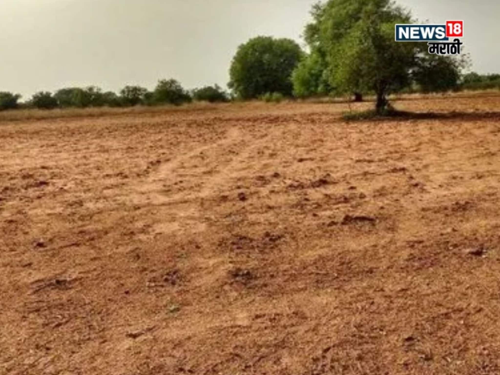 दिवाळीत जमीन खरेदी-विक्री करत आहात का? शासनाचा नवीन नियम काय आहे?