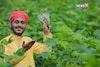 दिवाळी संपताच ४ पिकांची लागवड करा, फक्त ६० दिवसांत कराल बक्कळ कमाई