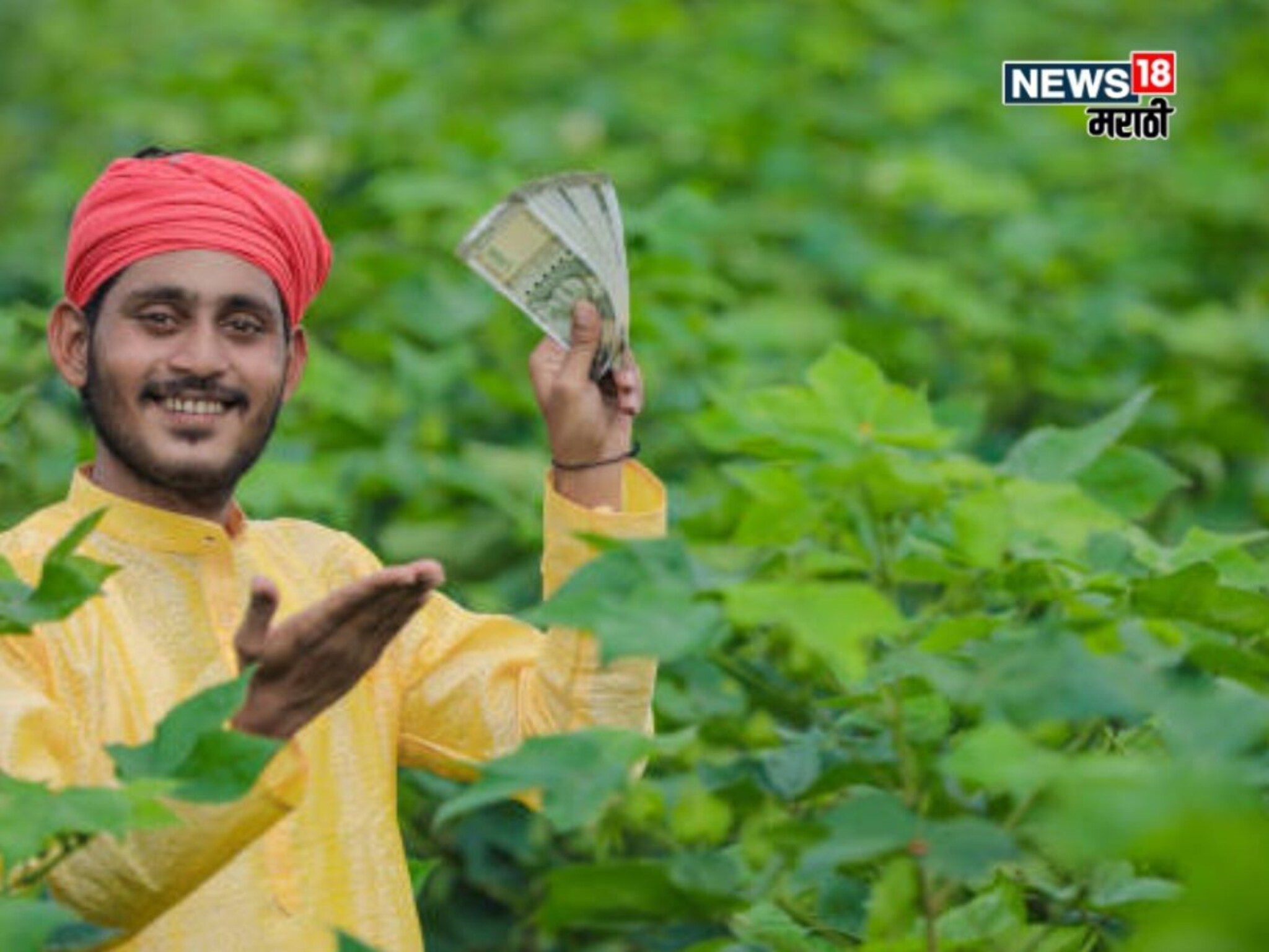 दिवाळी संपताच ४ पिकांची लागवड करा, फक्त ६० दिवसांत कराल बक्कळ कमाई