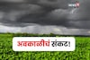 आज शेतकऱ्यांवर अवकाळीचं संकट, १३ जिल्ह्यांना अलर्ट, कृषी सल्ला काय?