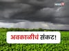 आज शेतकऱ्यांवर अवकाळीचं संकट, १३ जिल्ह्यांना अलर्ट, कृषी सल्ला काय?