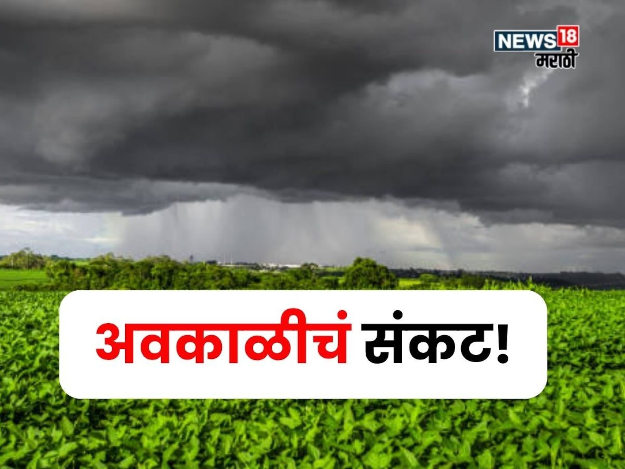 कृषी हवामान : आज शेतकऱ्यांवर अवकाळीचं संकट, १३ जिल्ह्यांना अलर्ट, कृषी सल्ला काय?