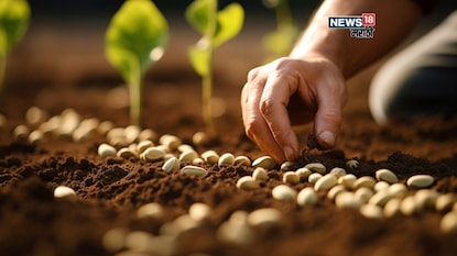 Agriculture News Agriculture News