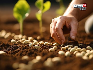 Agriculture News  Agriculture News