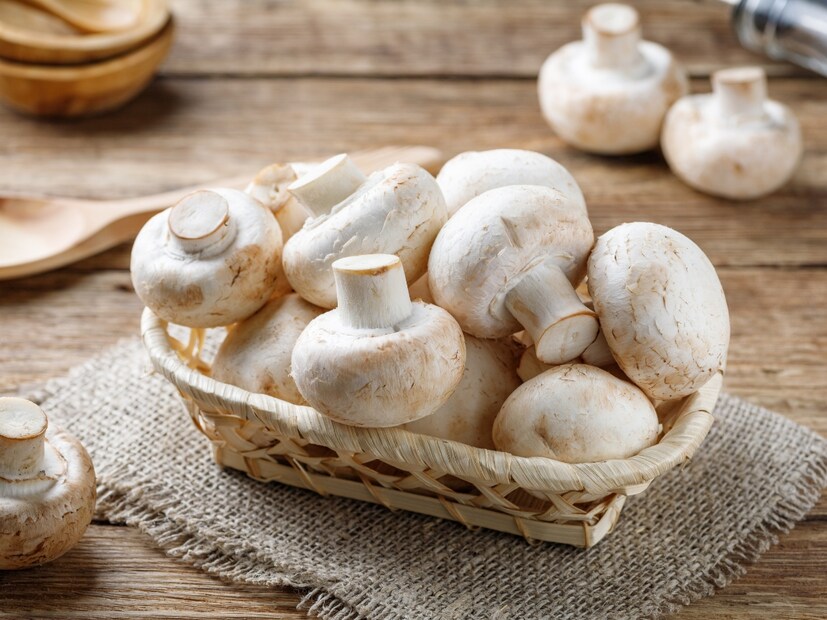  मशरूम (Mushroom) : तुम्ही जर मशरूम (Mushroom) खात असाल, तर 100 ग्रॅम मशरूममध्ये 20 छोटे किडे स्वीकार्य आहेत. अशा परिस्थितीत, तुमचे शाकाहारी मशरूम कळत-नकळत तुमच्यासाठी मांसाहारी (non-vegetarian) बनतात.