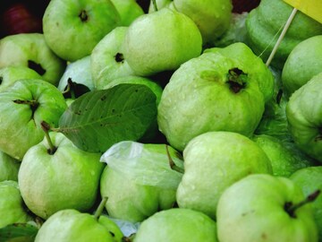 शुगर असेल तर पेरु खावे का? पेरु खाल्ल्याने वजन कमी होते हे कितपत खरे?