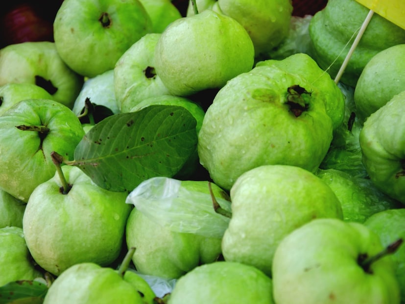 पेरू (Guava) : पेरूमध्ये फायबर आणि व्हिटॅमिन सी भरपूर प्रमाणात असते. हे पचन सुधारते आणि रक्तातील साखरेची पातळी नियंत्रित करण्यास मदत करते. मधुमेहींसाठी पेरू खाणे अत्यंत आरोग्यदायी मानले जाते.
