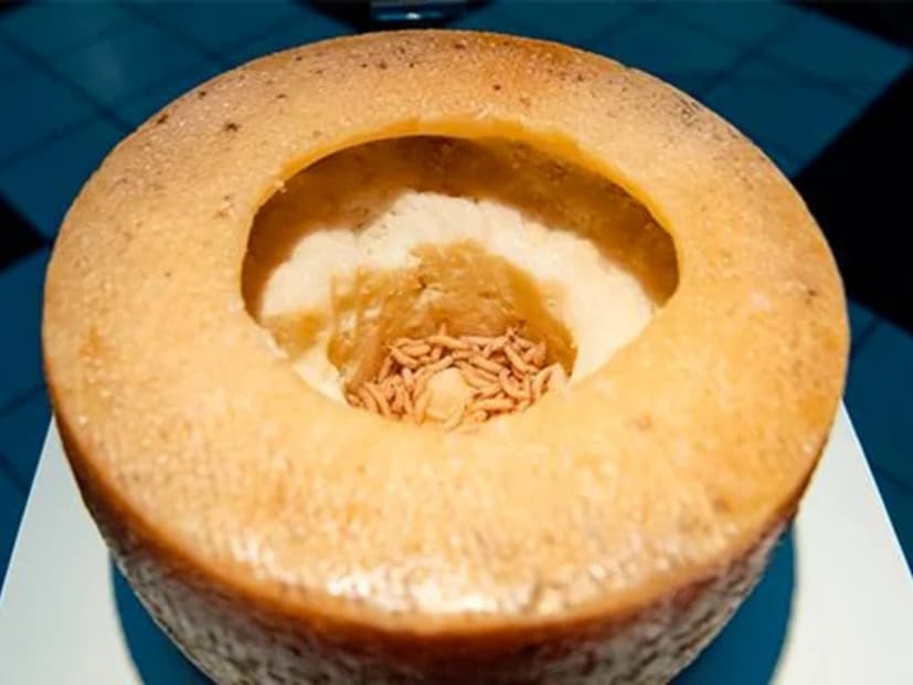  मॅगॉट्स चीज (Maggots cheese - Casu Marzu) : हे जिवंत किडे (live maggots) असलेले सारडिनियन चीज आहे. या किड्यांना न काढता खाल्ल्यास, ते पोटात जाऊन संक्रमण (infection) करू शकतात. गिनीज बुक ऑफ वर्ल्ड रेकॉर्ड्सने याला जगातील सर्वात धोकादायक चीज घोषित केले होते.