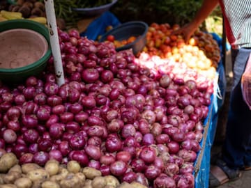 agriculture news 