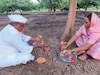 लक्ष्मी फक्त घरात नाही, शेतातही वसते! आडाच्यावाडीत अनोख्या पद्धतीने लक्ष्मीपूजन