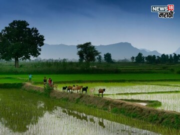 Agriculture Weather Update 