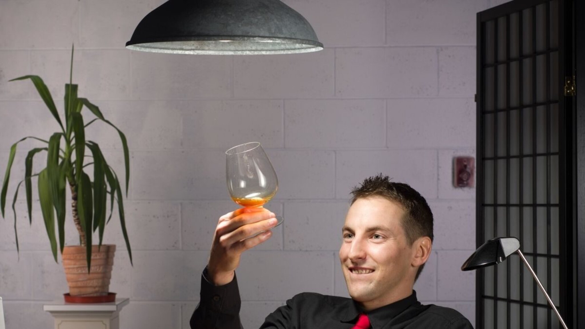 Alcohol Facts : दारू प्यायल्यावर भिगी बिल्लीही बनते शेर! दारूत असं असतं तरी काय?