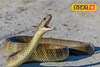भिवंडीच्या गल्ल्यांमध्ये 'भीतीचा वावर'! नेमकं शहरात घडतयं काय?