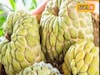 Health Tips : सीताफळ आले बाजारात, फायदे ऐकाल तर लगेच घ्याल विकत! Video